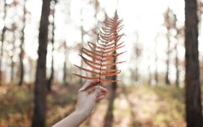 占い師の選び方