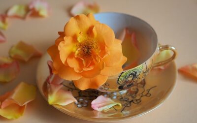 来年の運勢 五本能編