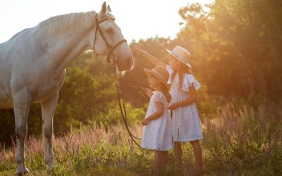 天中殺別 午年の傾向