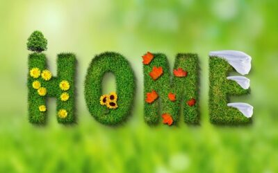 生家生地を離れて吉